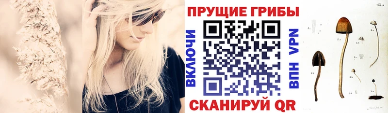 Галлюциногенные грибы MAGIC MUSHROOMS  купить закладку  Белинский 